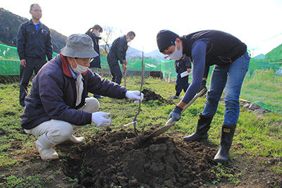 【終了】JAたじま朝倉さんしょ部会朝来支部　苗木の植え付け学ぶ